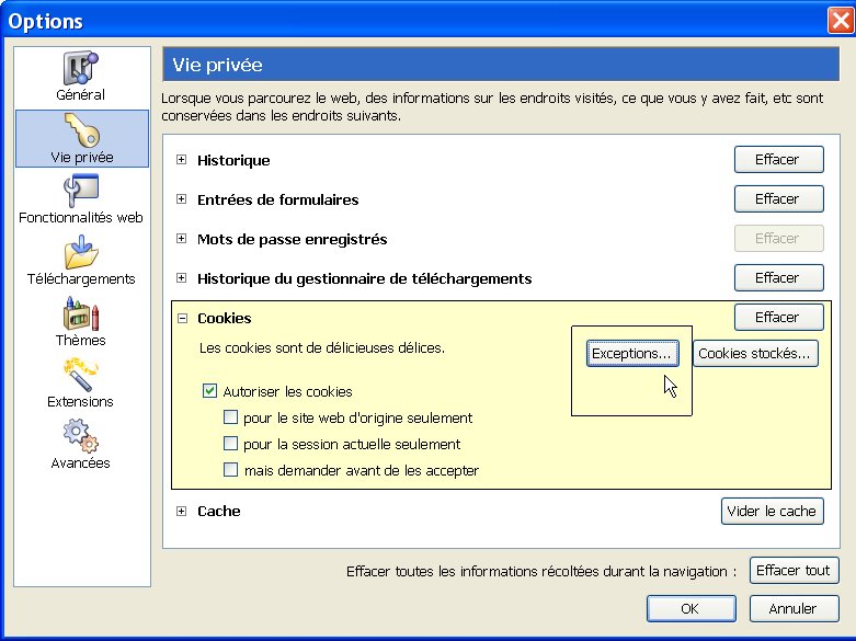 http://master.twidi.com/babaorum/faq/cookies_firebird_01.jpg