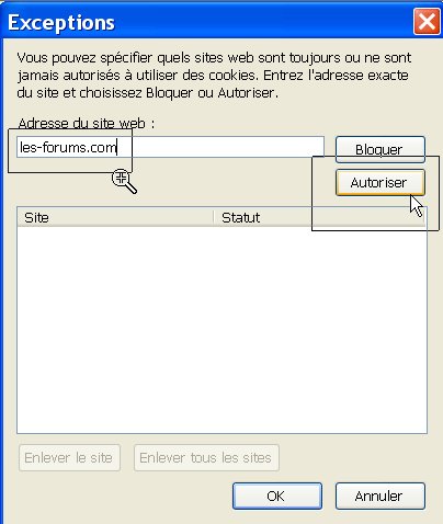 http://master.twidi.com/babaorum/faq/cookies_firebird_02.jpg
