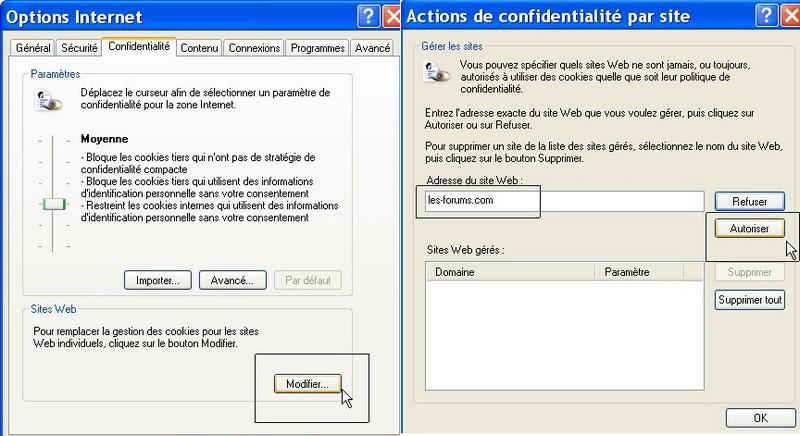 http://master.twidi.com/babaorum/faq/cookies_ie_03.jpg